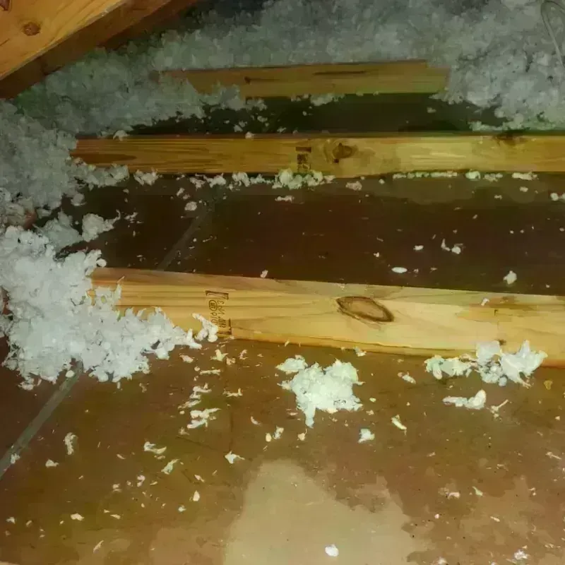 Attic Water Damage in Wakefield, NH